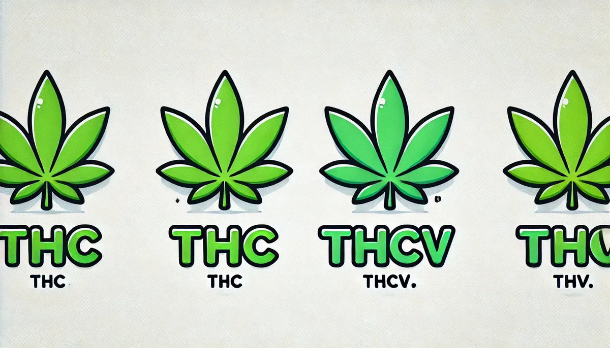 „THC vs THCv“ Schriftzug mit Cannabisblättern im Comic-Stil.