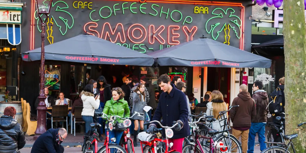 Najlepsze coffeeshopy w Amsterdamie 2024: Najlepsze miejsca na Cannabis-Canapuff