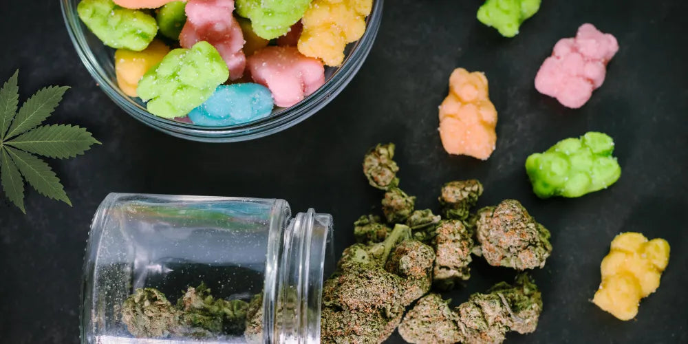 Champignons CBD