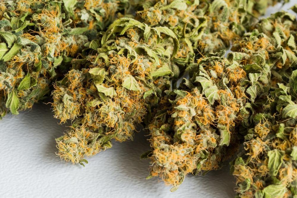 10-OH-HHC: Benefici e sicurezza del nuovo cannabinoide-Canapuff