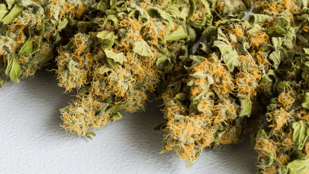 HHC PO fremtiden for Cannabis Innovation