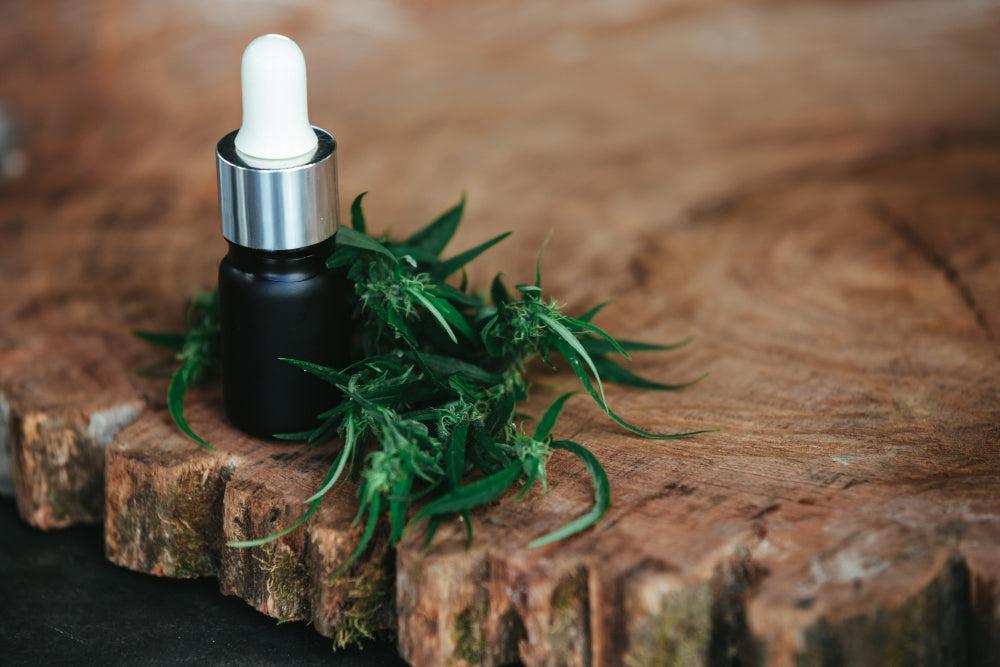 THCA: Fordele, brug og bedste Cannabis Strains-Canapuff