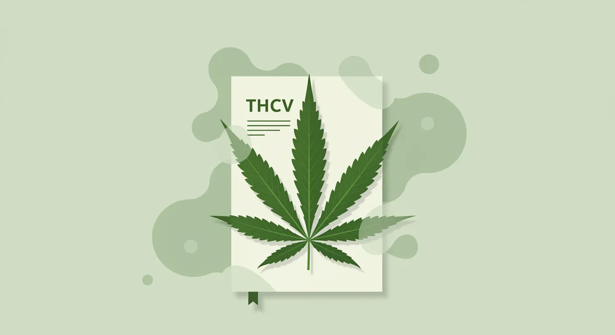 The Complete Guide to THCv Effects-Canapuff