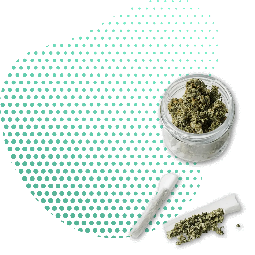 All Joints