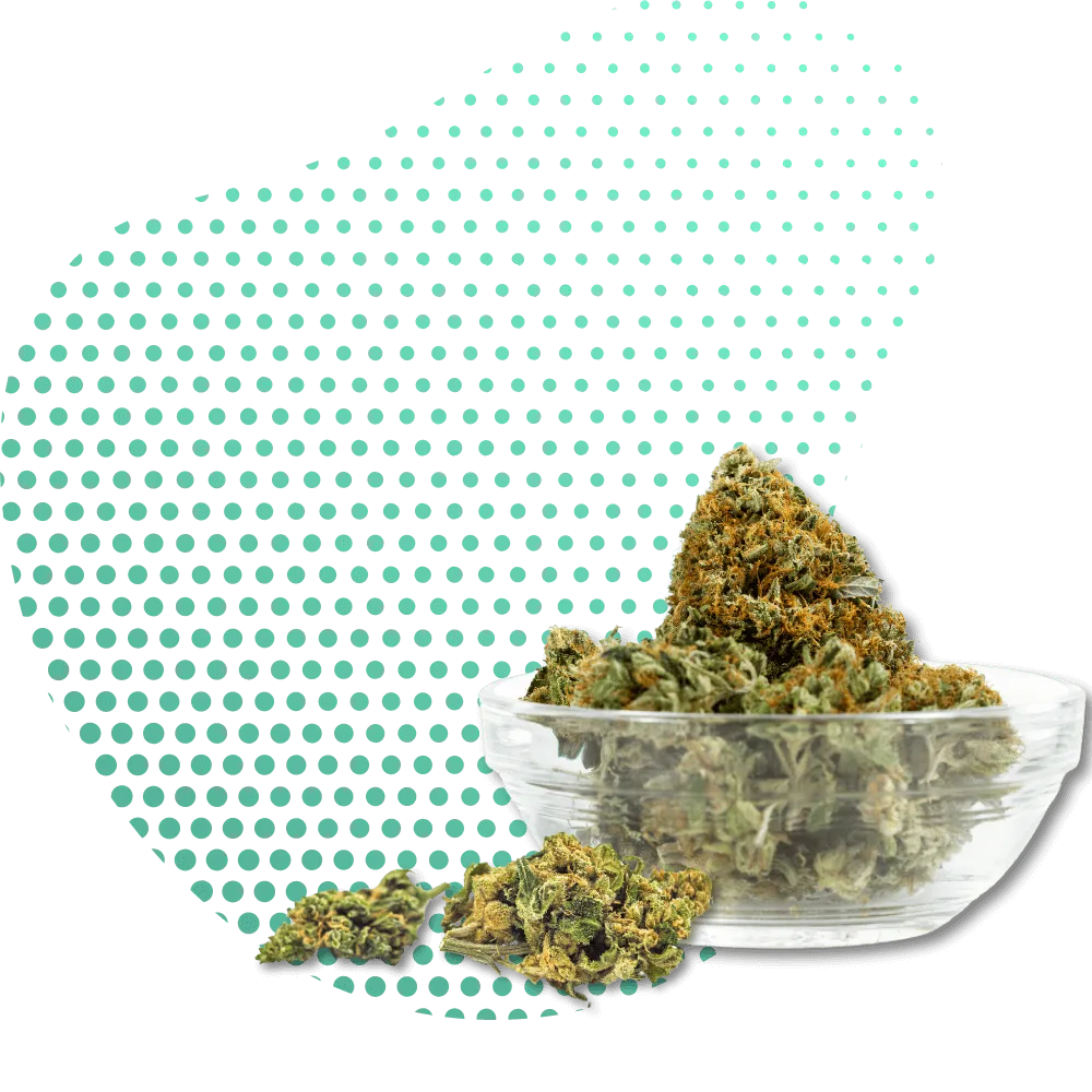 10-OH-HHC Flowers