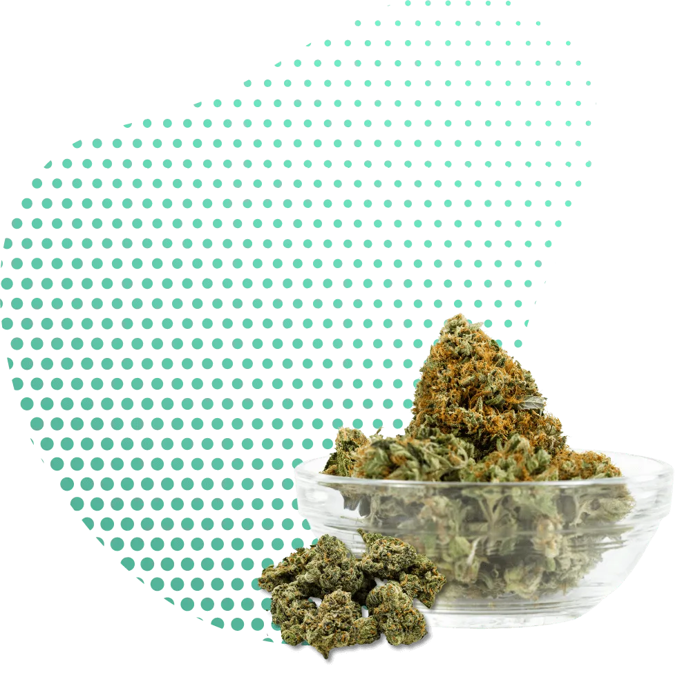 THC-PO Gėlės-Canapuff