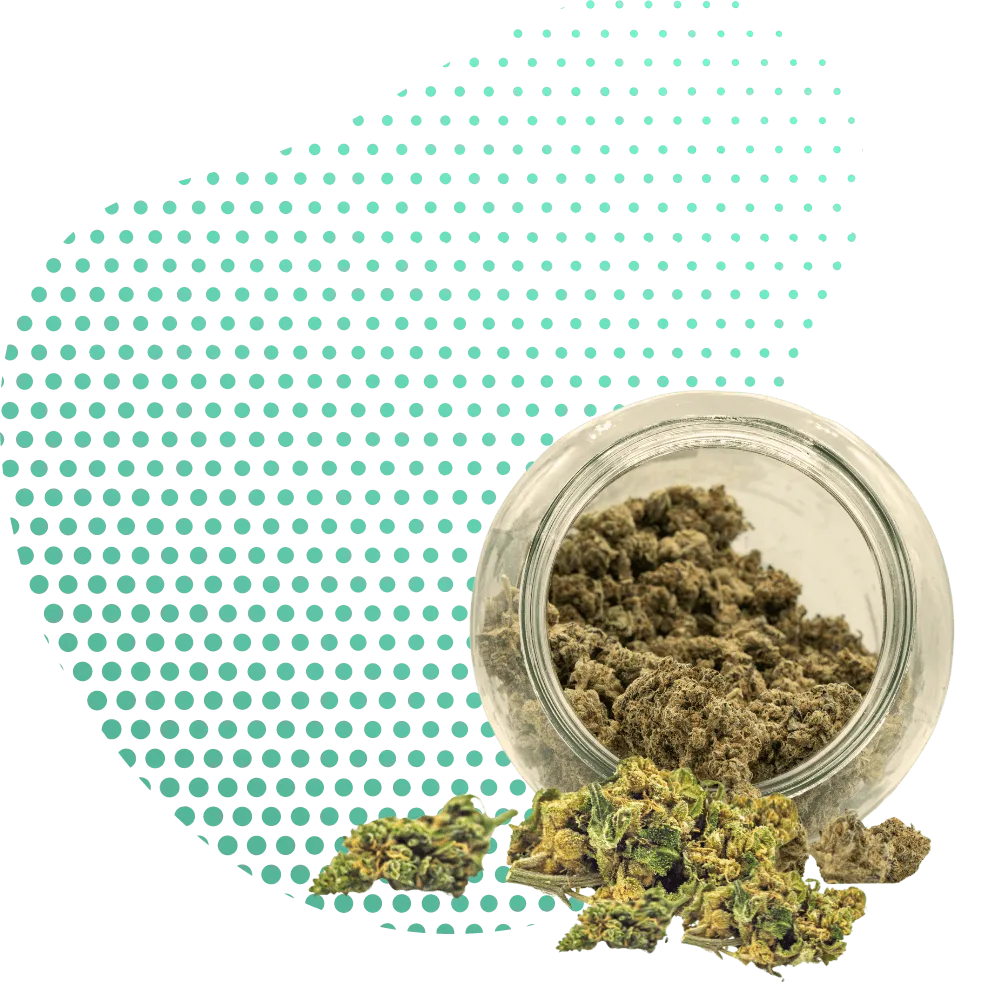 CBG9 Products