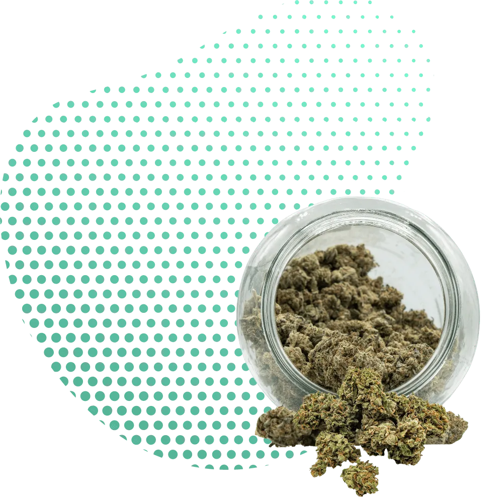 THC-H-Canapuff