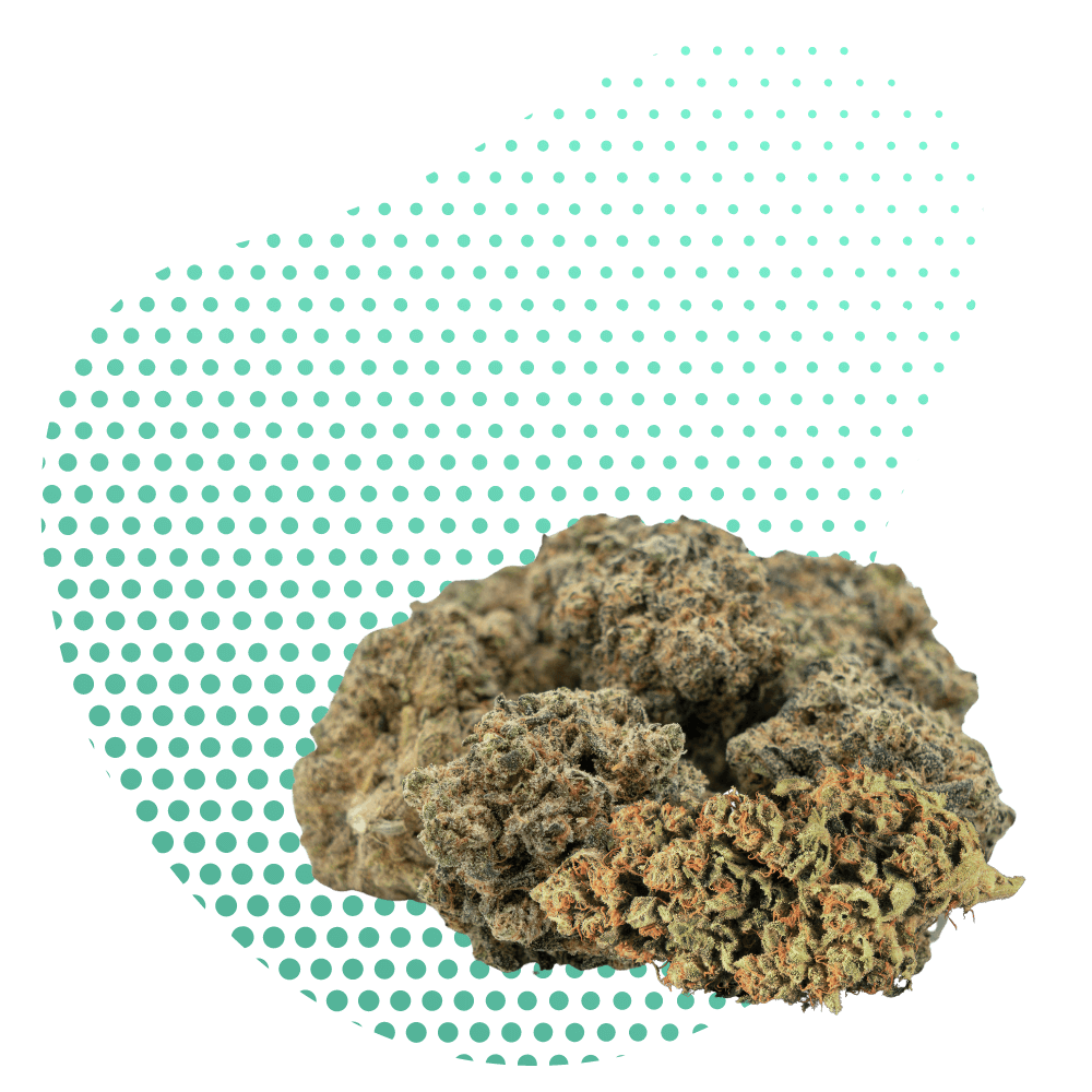 10-OH-HHC законен ли е?