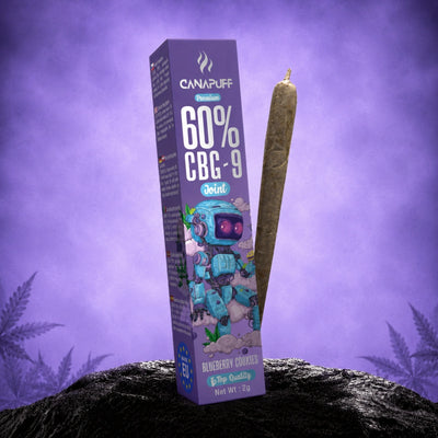 CBG9 Jointuri Afine Cookies 60% 2g