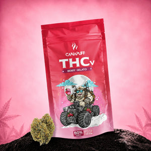 THCv květy Berry Gelato 50%