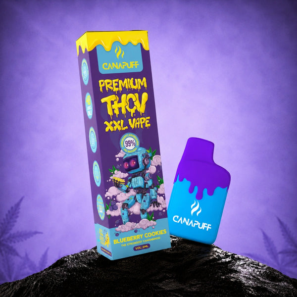 Canapuff THCv XXL Vape Blueberry Cookies 99% 2ml engångspenna med ytterkartong