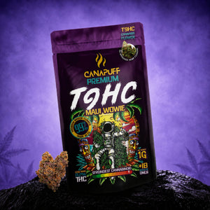 TⳊHC Цветя Maui Wowie 99%