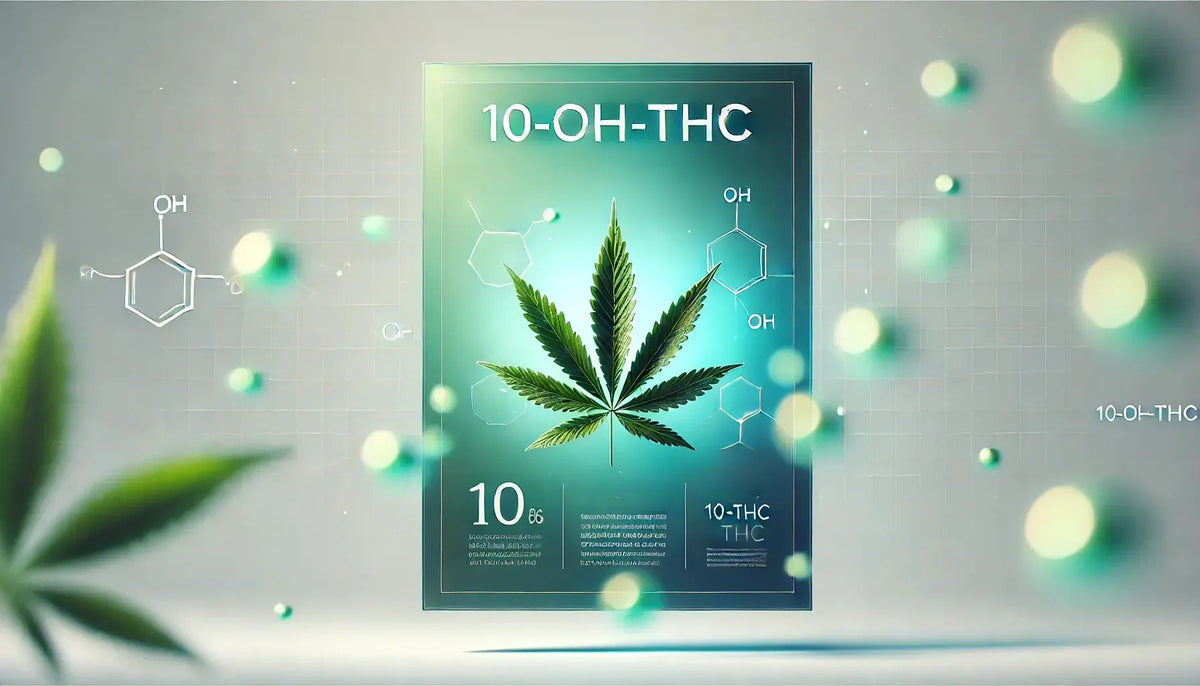 10-OH-THC'yi Keşfetmek: Büyük Potansiyele Sahip Daha Hafif Bir Metabolit-Canapuff