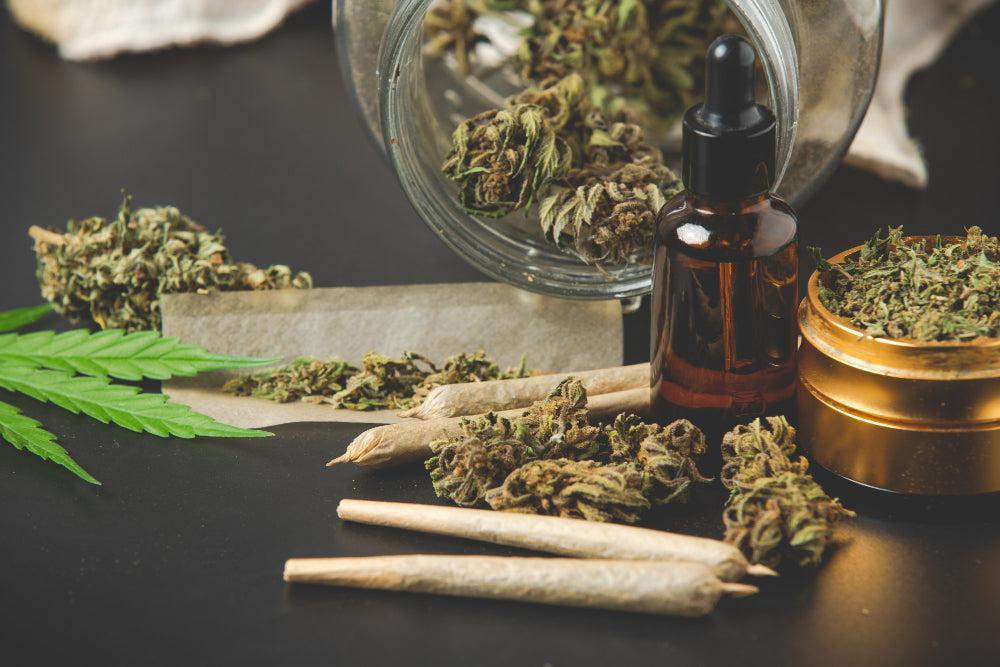 Conservare correttamente i semi Cannabis: consigli e trucchi-Canapuff