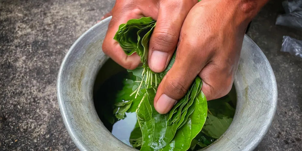hoeveel Proszek Kratom moet je nemen