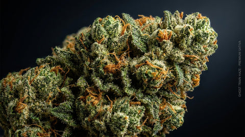 Ghost Train Haze Strain Guide — Effects, Terpenes & Origin