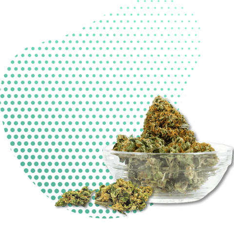 10-OH-HHC Flowers