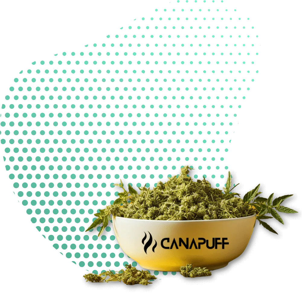 Canapuff Flowers