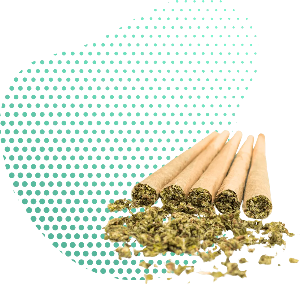 THC-B suktinės-Canapuff