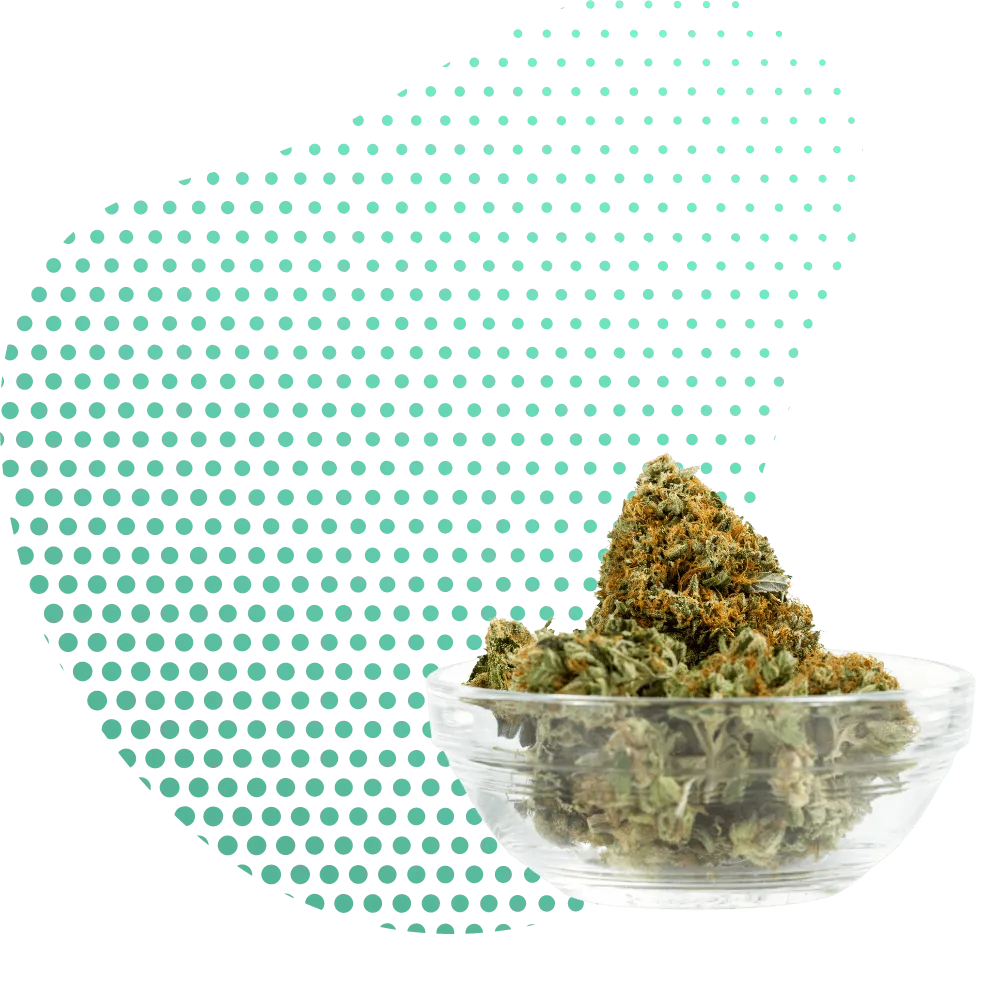 THC-B Gėlės-Canapuff