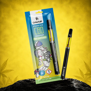 CBD Писалка + патрон Recovery 95%