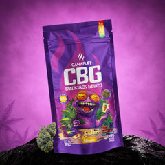 Canapuff CBG Blackjack Gelato žiedai 69%, 1 gramo pakelis