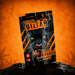Canapuff Original Delta-9 Chocolate Bonbon, 5 штук