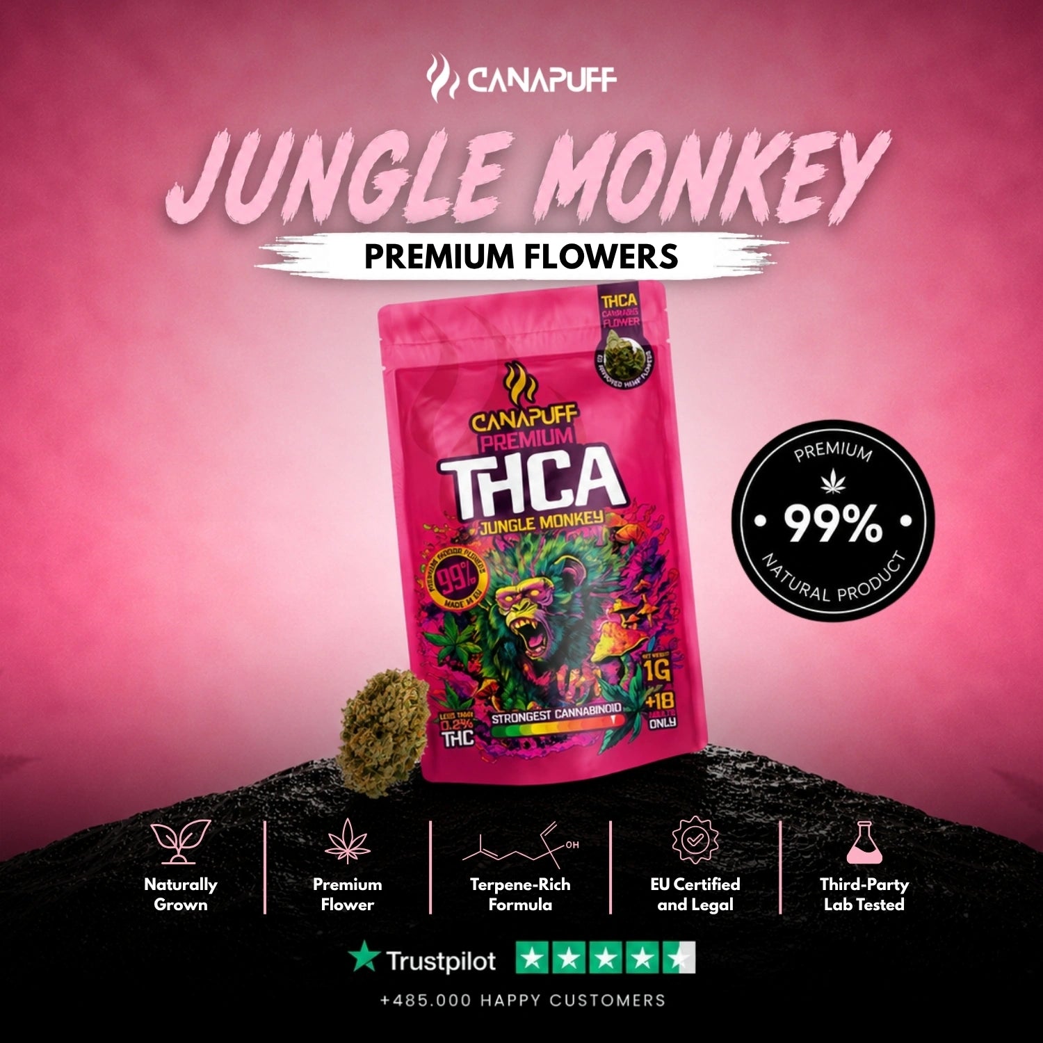 THCA Flowers Jungle Monkey 99%