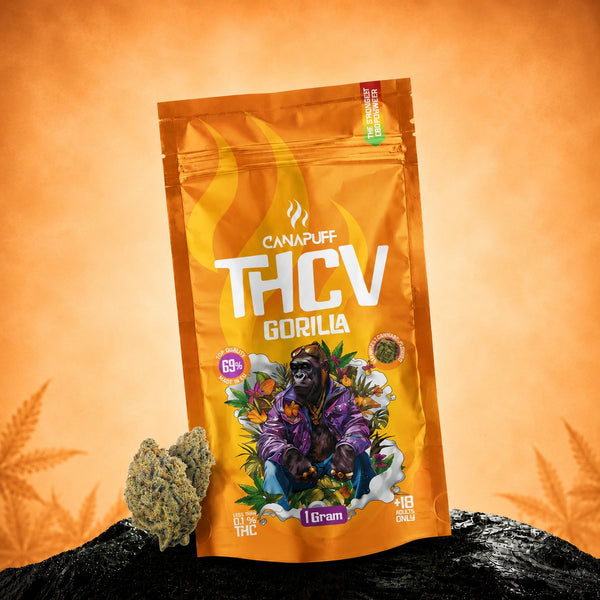 Canapuff THCv Gorilla Blüten 69%, 1 Gramm Beutel mit orangefarbener Verpackung und Gorilla-Artwork