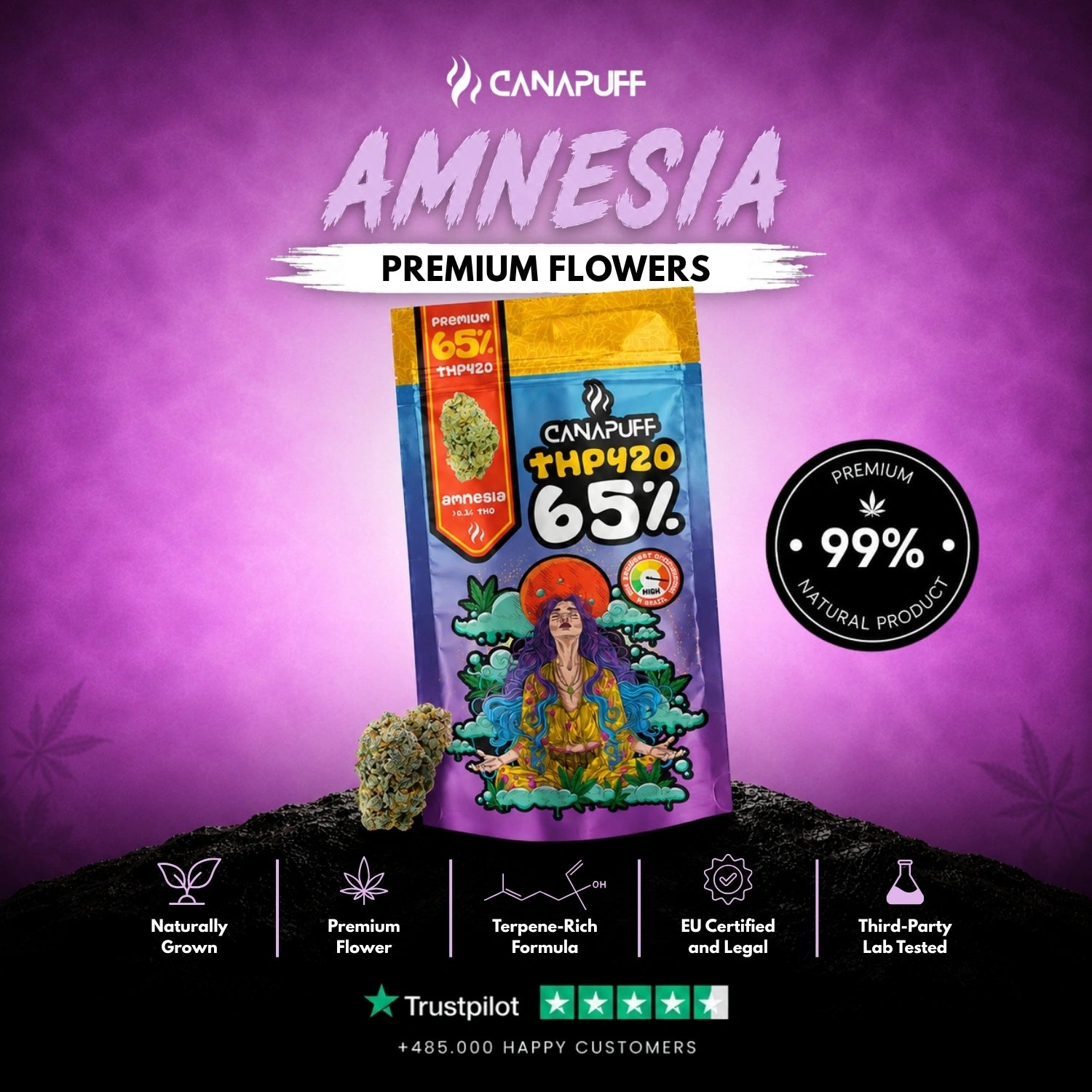 THP420 Flowers Amnesia 65%